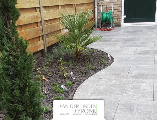 Strakke tuin met ronde borders