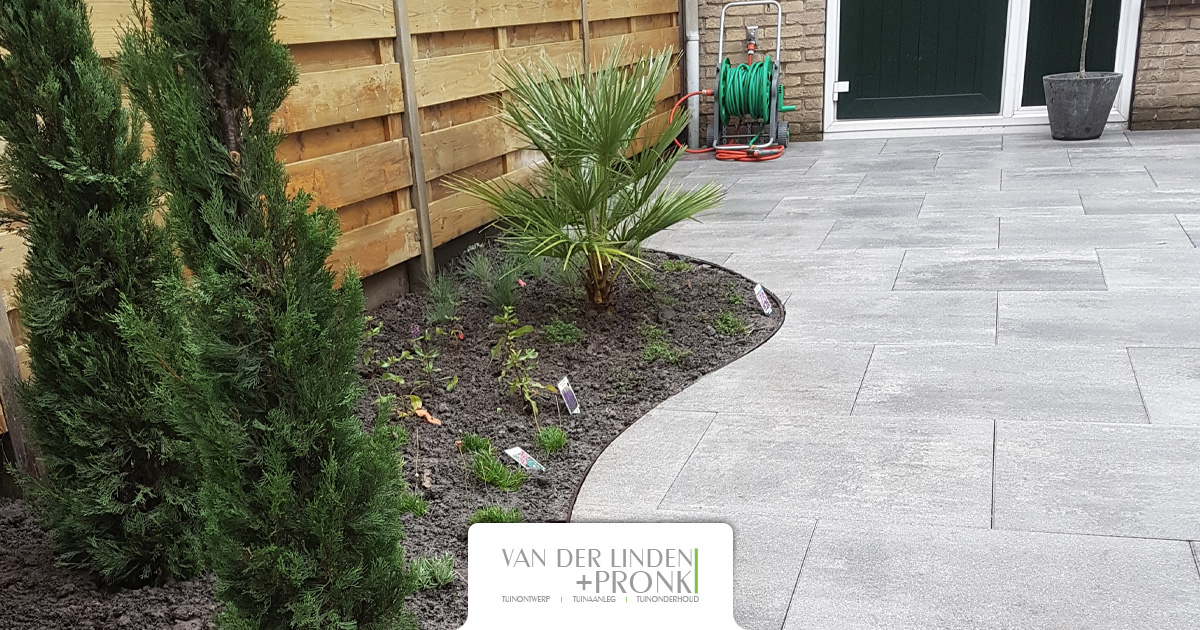 Strakke tuin met ronde borders-01